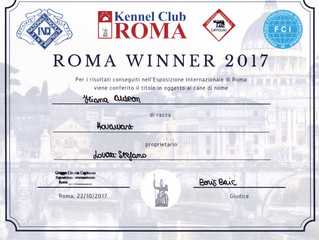 IDS Roma Winner - MS Hovawart
