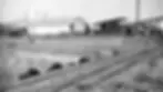 Zip-O-Sawmill-in-1951.jpg.webp