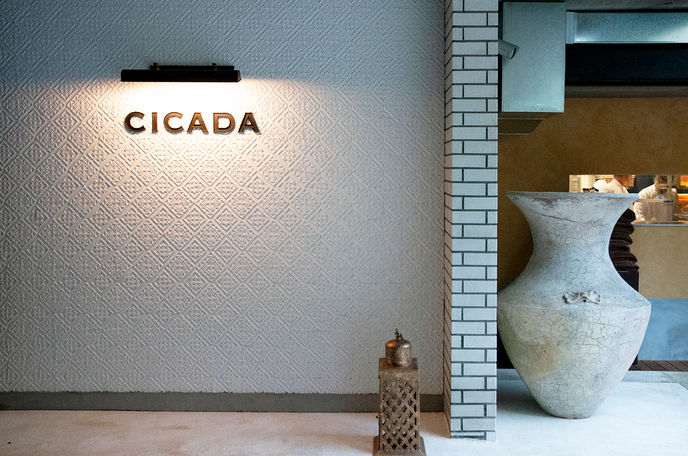 Cicada - Minami Aoyama