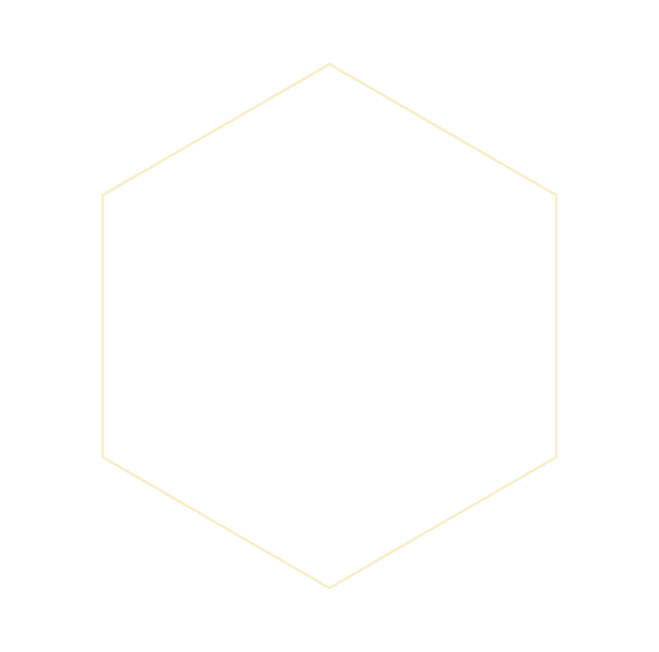 ライン.png