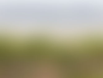 Vinranker i Rias Baixas