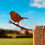 Thumbnail: Simple Rusty Metal Bird