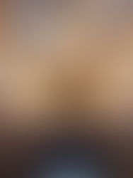 Interno Cappella Sistina Savona