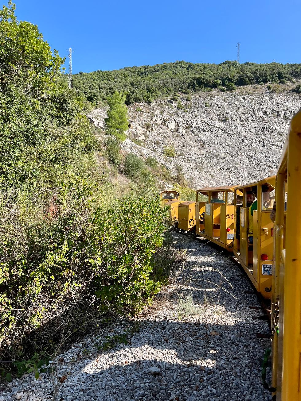 Treno Lanzi - Temperino