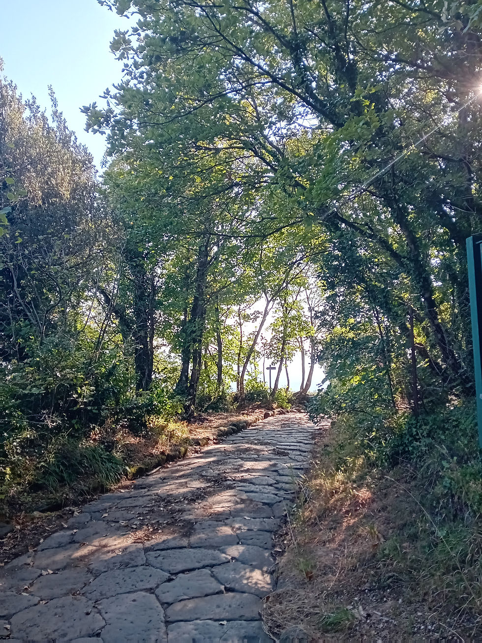 Via Sacra Monte Cavo Castelli Romani