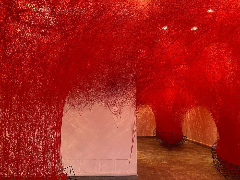 mostra shiota mao torino