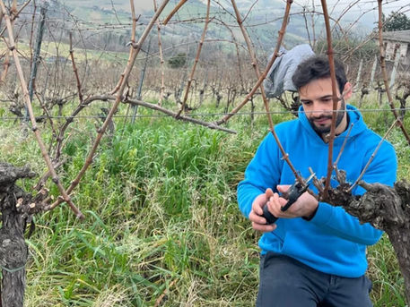 Gianluca D'Erasmo, fondatore D'Erasmo Vini, Offida, Marche