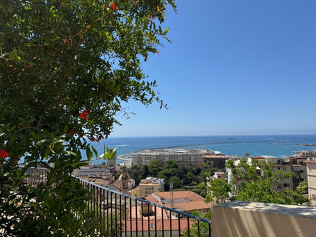 vista dal giardino della minerva salerno