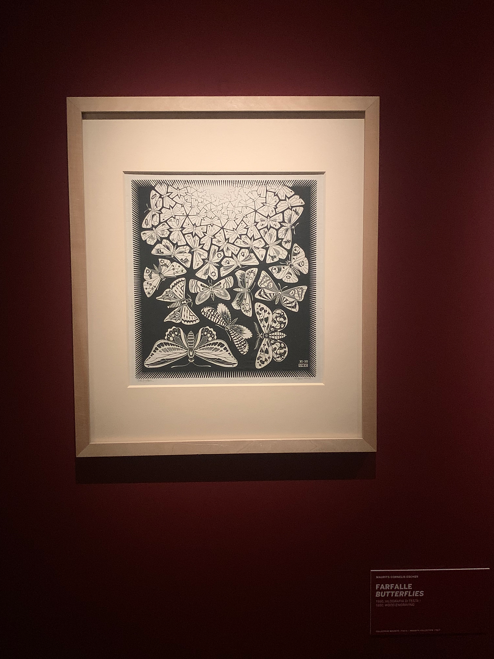 Farfalle, M.C. Escher