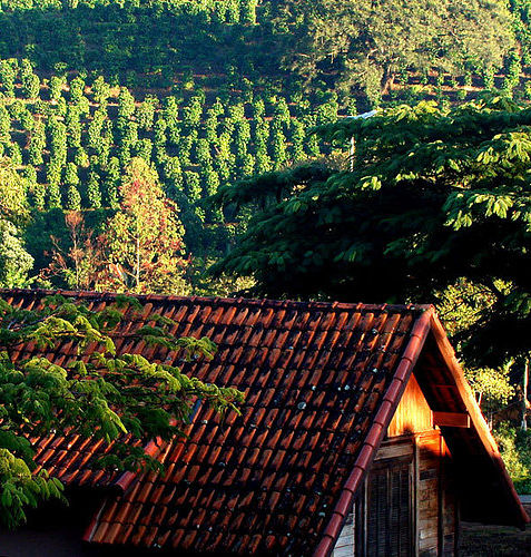 Hotel Fazenda Bom Café