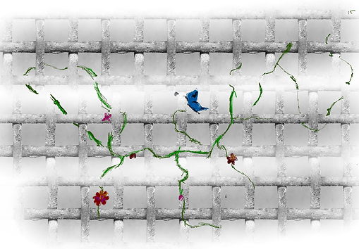 The World as I See It