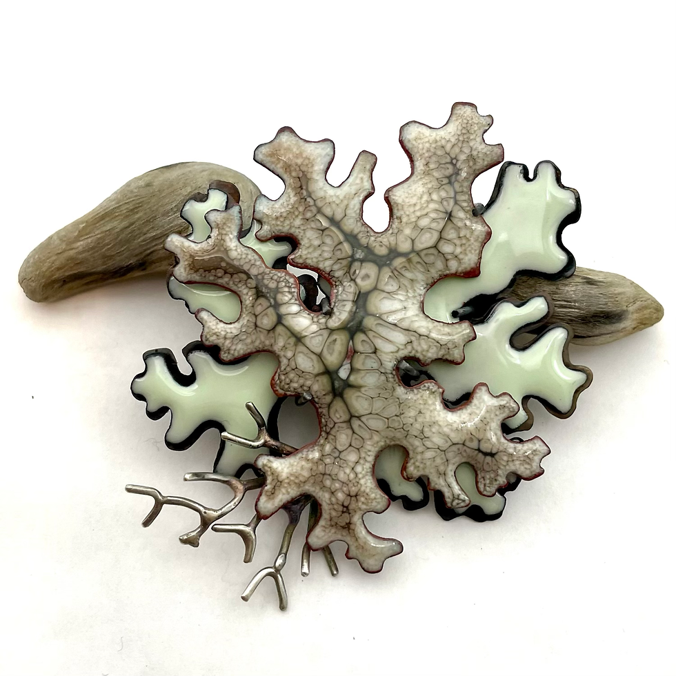 Thumbnail: Copalis Lichen Brooch