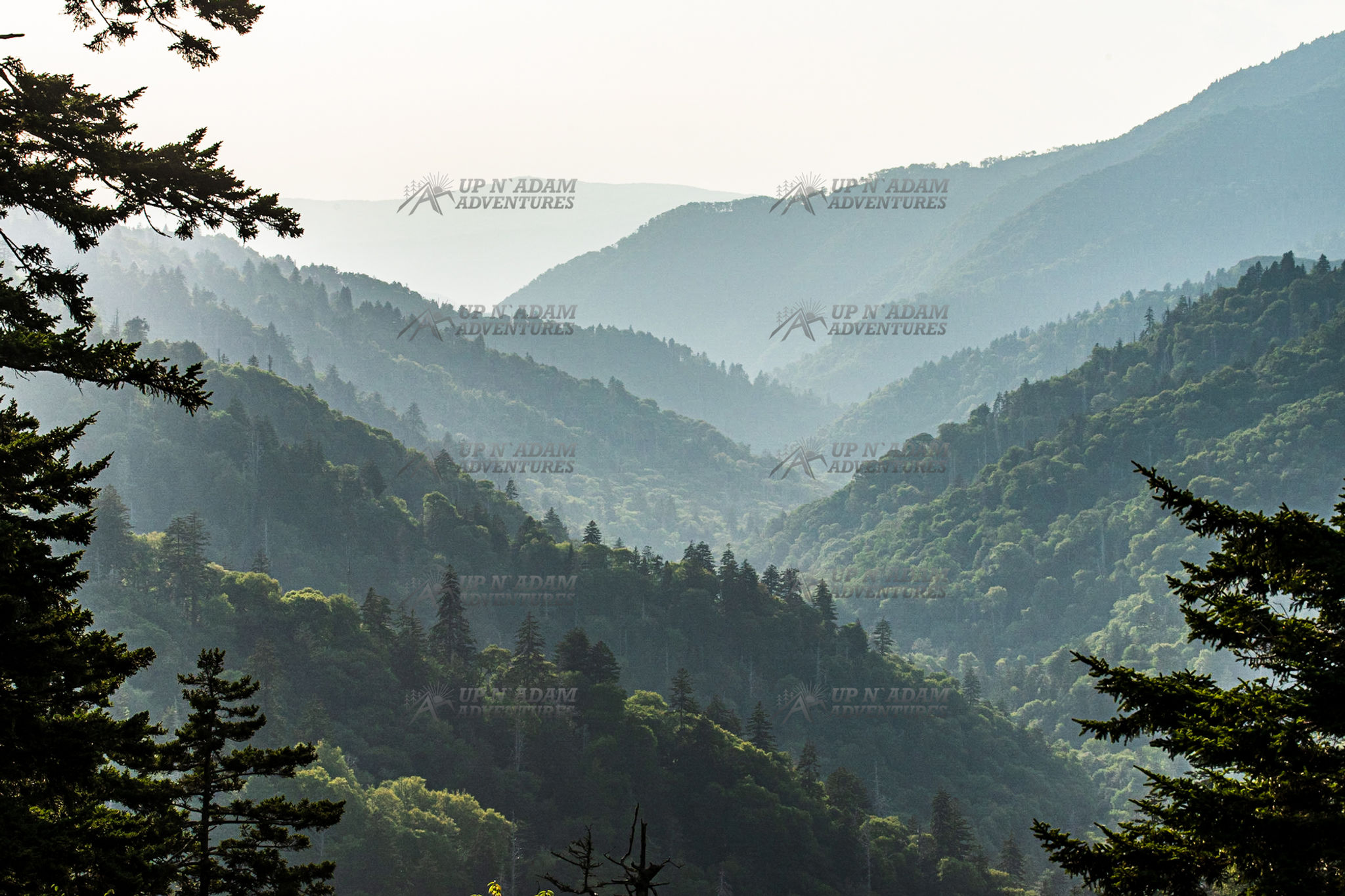 The Layers of Mortons Overlook