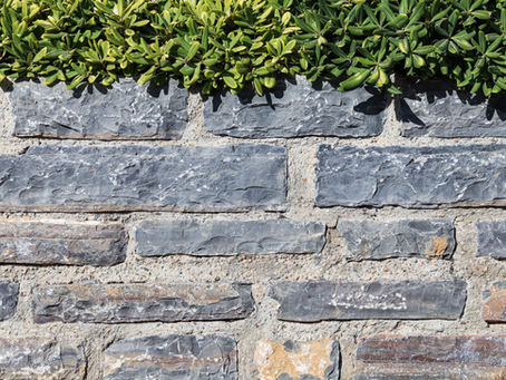 Bluestone walls