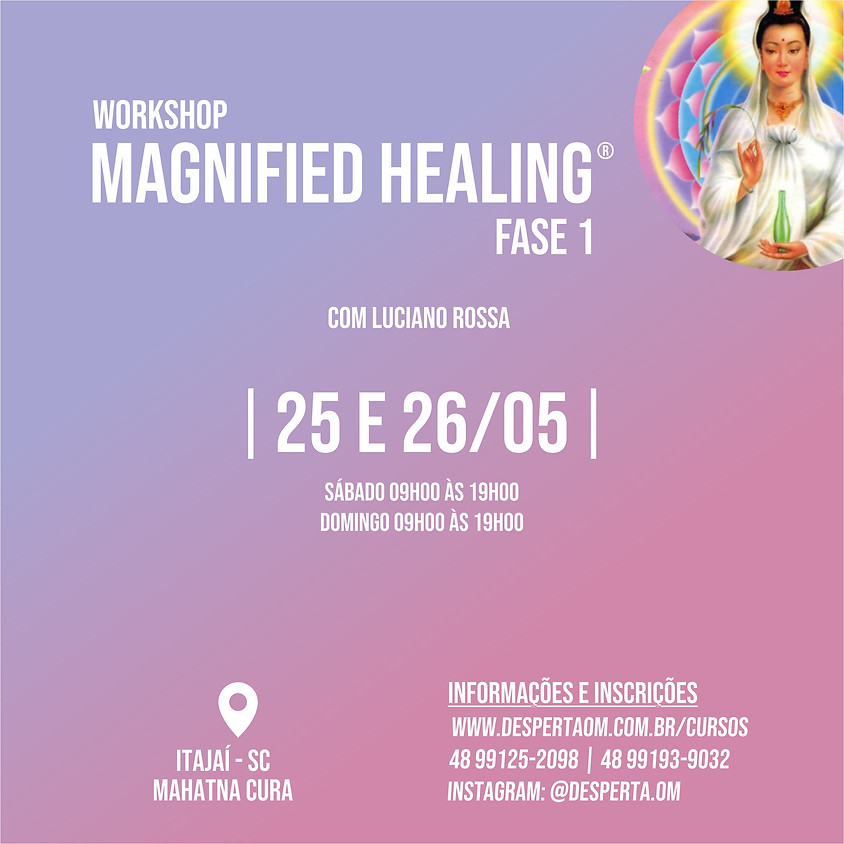 Workshop Magnified Healing® em Itajaí - Fase 1