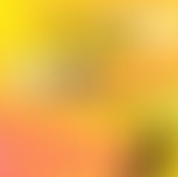 Défi des ponts - solo et duo complets