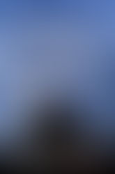 One Plague to Another