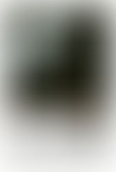 Movie Review: LOVE (2011) Now Playing