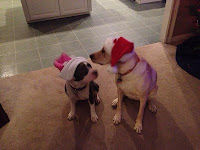 Whew….. still more to come but time to sleep, perchance etc