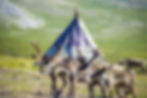 A group of people visiting a Reindeer Family in Mongolia