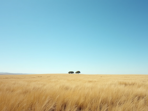 Best Times to Experience Mongolia's Beauty: Your Guide to the Ideal Mongolia Travel Season
