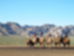 A stunning view of the Semi Gobi landscape in Mongolia