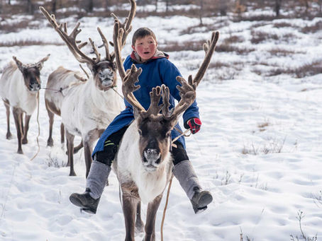 Reindeer boy - Ice festival 2026