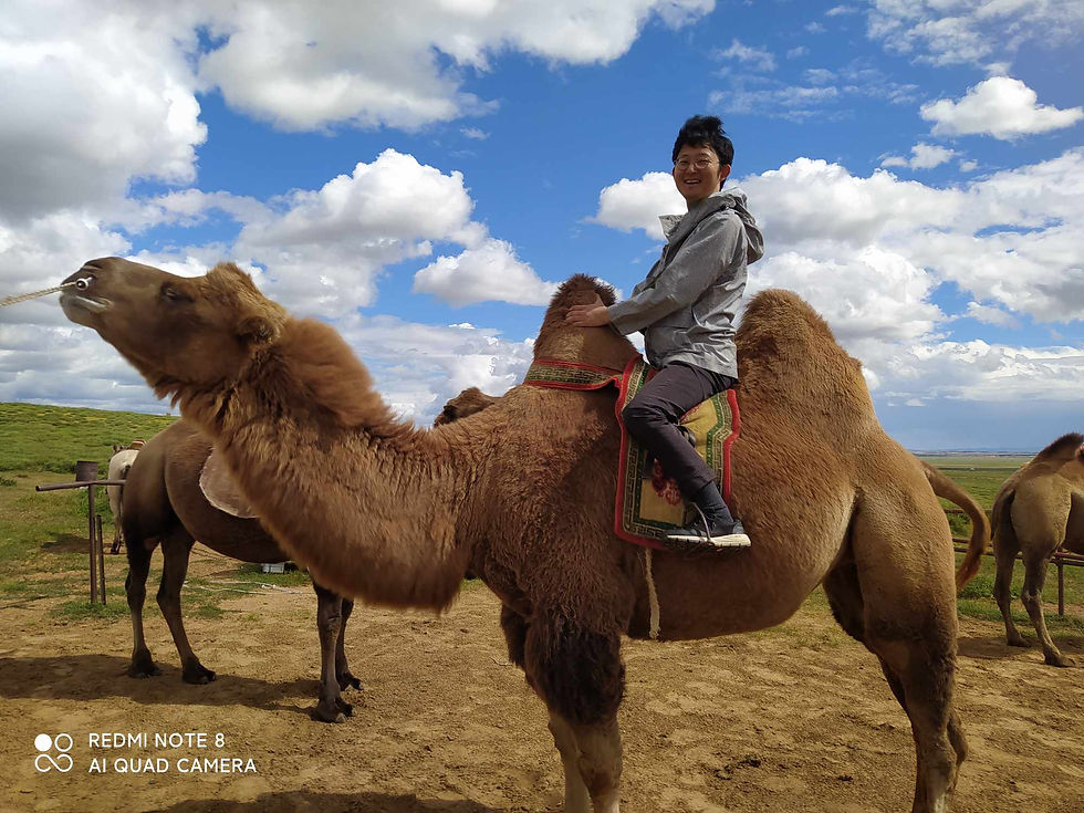 Foreign tourists riding Bactrian camels in a line on the Gobi steppe under a blue sky with white clouds