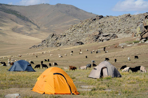 camping out mongolia