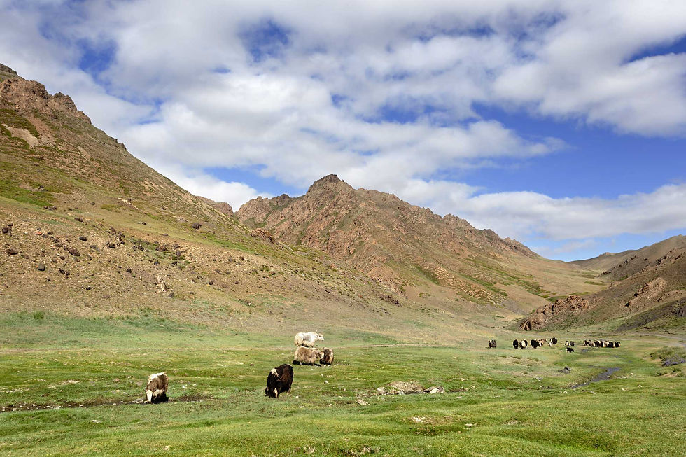 A majestic landscape of Yoliin Am, where towering cliffs surround a narrow canyon and a flowing river in the heart of Mongolia's Gobi Desert