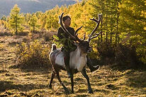 Reindeer boy: A young boy with reindeer in a natural setting.