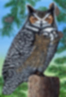 European Eagle Owl