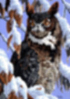 Winter Watch