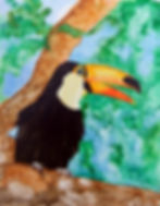 Toco Toucan