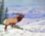 Elks' Winter Gathering