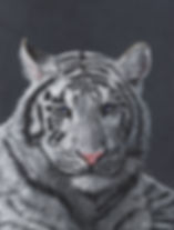 Zabu, White Tiger