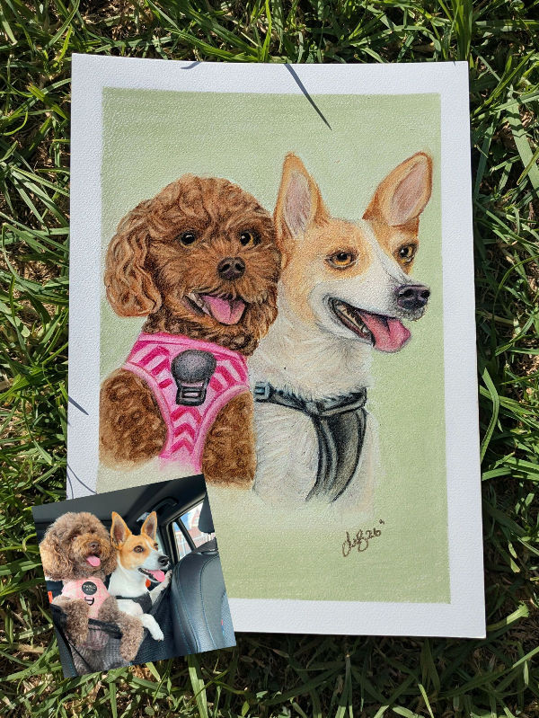 Pet Portrait by Sam