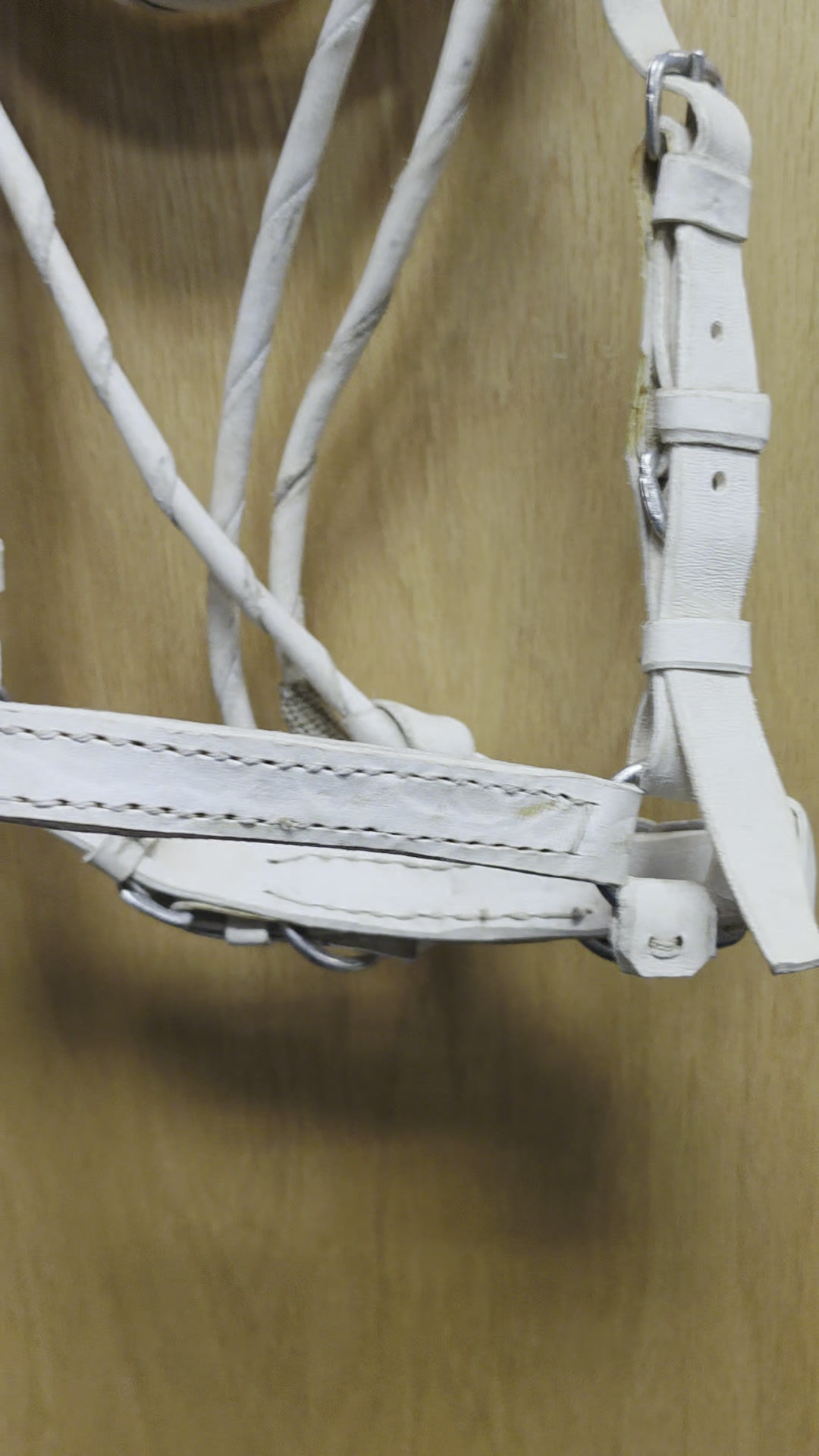 Paso Fino Halter with Lead - Rawhide