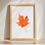 Thumbnail: Framed orange leaf artwork against a white wall, natural light