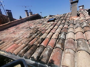 IMG_20200730_122923.jpg