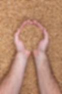 Hands-with-pellet-628964.JPG