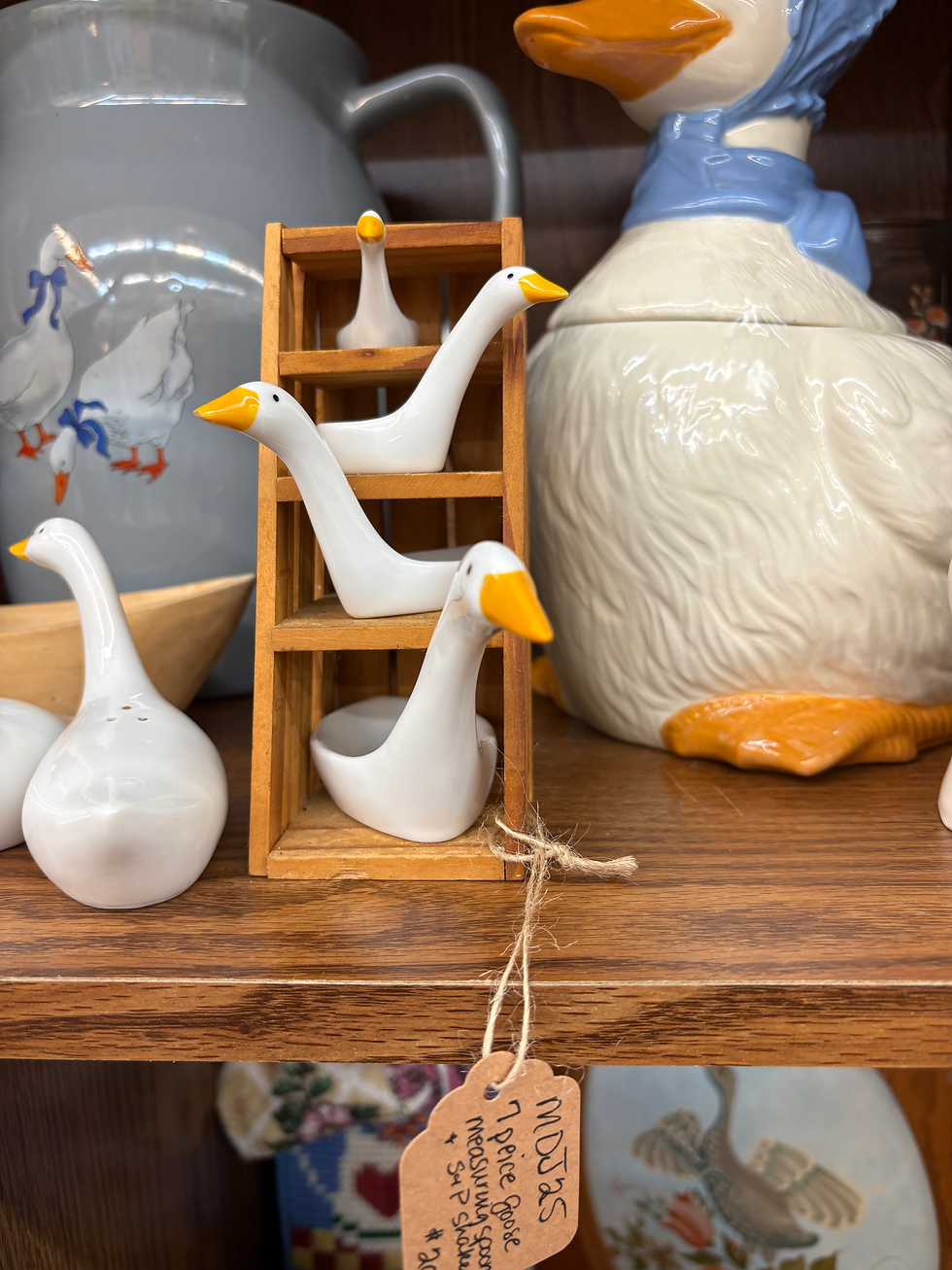 Vintage Avon ceramic goose-shaped measuring spoons and salt and pepper shakers sitting on a shelf at an antique mall, surrounded by other eclectic items.