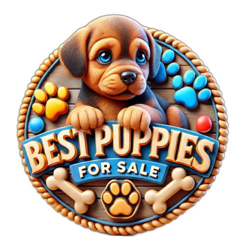 Best Puppies For Sale Long Island, NY logo