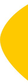 Vector 12.png