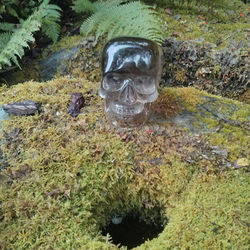 Temple, Knights Templar Chapel