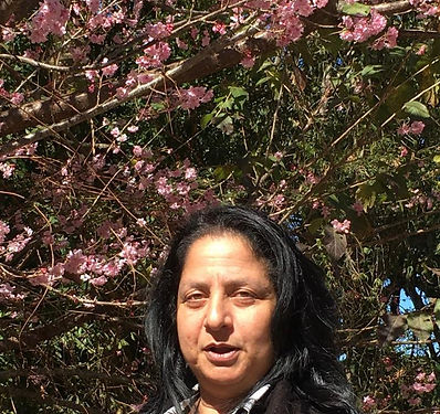 Eloisa Zarzur Cury