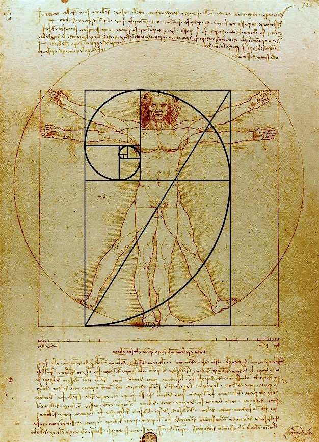 Vitruvian-Man-Golden-ratio-11.618.jpeg