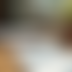 French language study materials on a desk