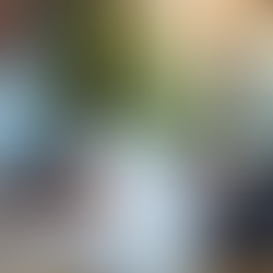 Inspire Education consultant guiding an applicant through PR paperwork