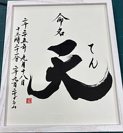 1759814110579(1).jpg
